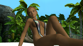 Illustration for article titled Dead Or Alive Paradise Screens